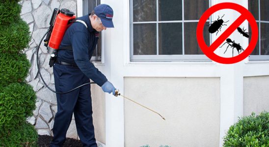 Kızılcahamam Fare İlaçlama böcek ilaçlama ve haşere kontrolü — ilaclama-tr.com
